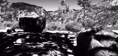 Zen Gardening