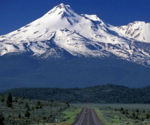 Shasta