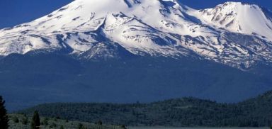 Shasta